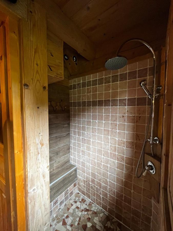 Chalet Le Pre De La Dame Epagny Metz-Tessy Buitenkant foto